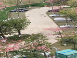 公明小产权房【枫林绿都】6580元/平起，带精装修，原装户型，楼下即是大型公园