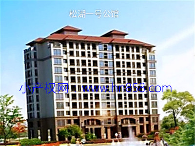 大朗【松湖一号公馆】离松山湖最近的小产权房，松湖万科生活广场旁，4880元/平起，首付5成，分期3年
