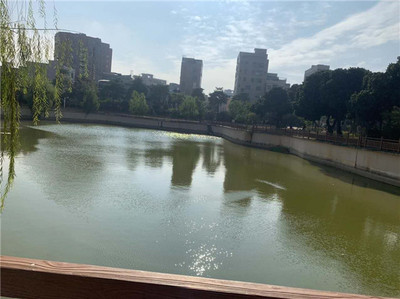 东莞大朗松柏朗小产权房【地铁景苑】3800元/平,楼层任轩