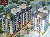 虎门北栅碧桂园0距离小产权房【丽景花园】开盘特价3800元/平起，首付5成，分期3年，3栋封闭式管理小区