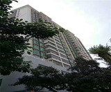 （售罄）沙井村委统建楼【中心名苑】开发商最后保留15套，均价1.1万/平，带精装修，首付5成，分期5年