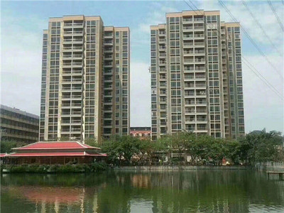 东莞长安【金泽家园】6栋大型花园小产权房，特价7700元/平起，首付3成，分期8年，正规报建，1:2停车位
