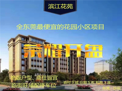 东莞沙田小产权房【滨江花苑】一期两栋，4080元/平起，首付3成，分期5年，带大型停车场