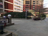 松岗地铁口村委统建楼【温声雅苑】特价11500元/平起，1:1地下停车场，带天然气，最后28套