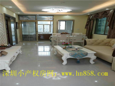 （售罄）宝安中心小产权房【流塘天骄】13800元/平起，原始户型，12号线流塘地铁口200米