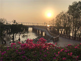 （售罄）西乡海景小产权房【海滨雅苑】50万/套起，银行按揭5年，西湾红树林公园200米