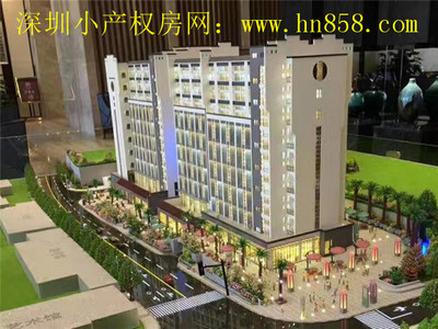布吉文博宫大型小产权房【名仕雅苑】精装复式三房129万/套起，3栋9层带电梯，带地下车库