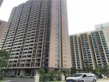松岗大型统建楼【国际一品】6栋花园小区，11800元/平起，精装修，首付6成，分期5年