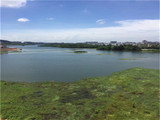 （售罄）福永湖景房【腾龙名苑】9000元/平起，带装修，立新湖水库公园200米