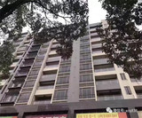 观澜新田村委统建楼【新田豪苑】11900元/平起，村委盖章，原始户型，3栋小区房