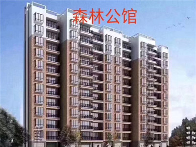 东莞虎门怀德小产权房【森林公馆】2780元/平起，可分期3年，两栋两梯6户，户型方正采光好