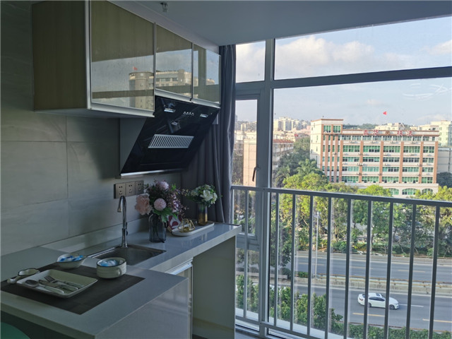 布吉【丽湖公馆】小产权房,45.